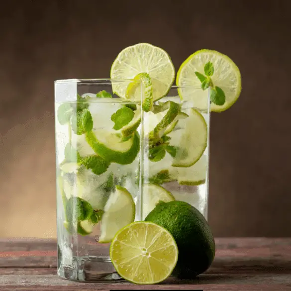 Homemade Waterloo Mojito Mocktail Recipe