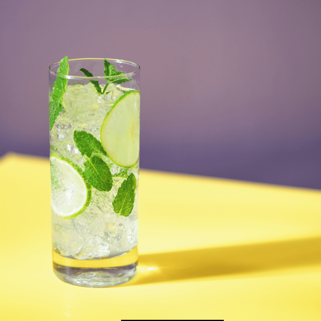 Homemade Waterloo Mojito 