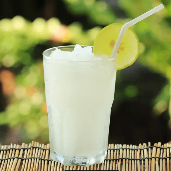 Non-Alcoholic Lime Rickey Recipe